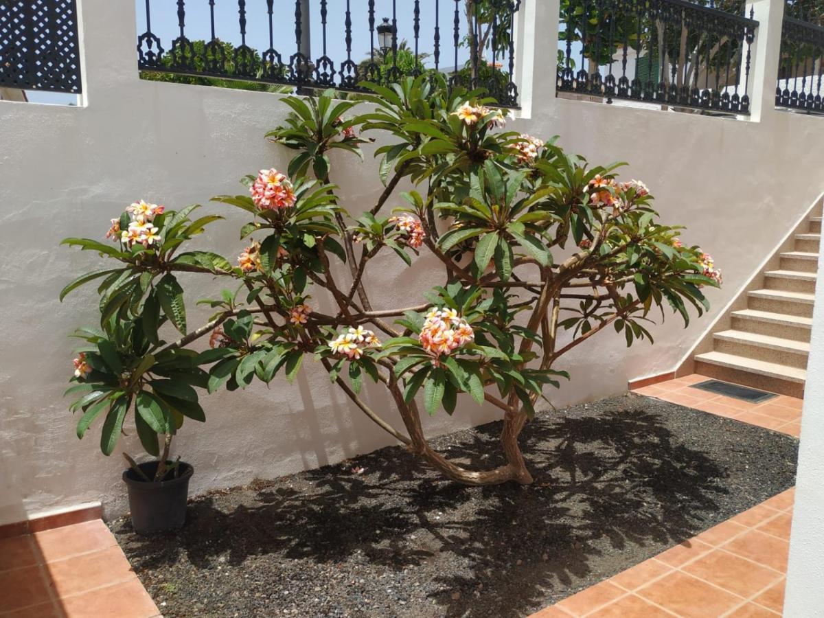 Punta Negra Puerto de Santiago (Tenerife) Exterior foto
